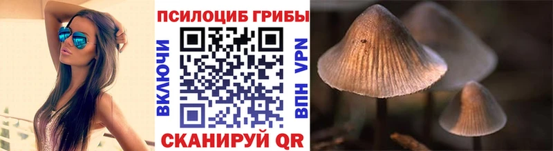 Псилоцибиновые грибы ЛСД  omg как войти  Почеп  купить  